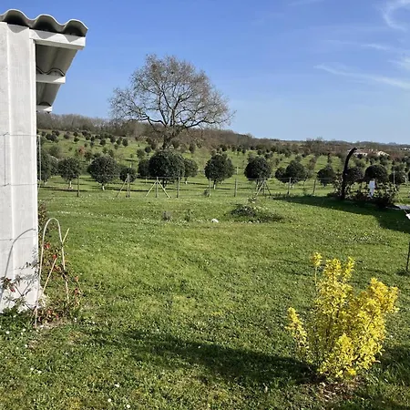 Casa vacanze Chai De Charme Avec Jacuzzi Privatif, Jardin Clos Et Wifi - Fr-1-616-363